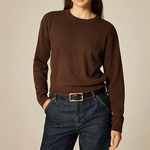 J.Crew Cashmere Classic Fit Crewneck Sweater Brown